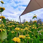 Kamp alanı Veld & Duin Bredene