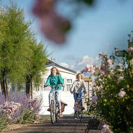 Veld & Duin 캠프장 브레데네