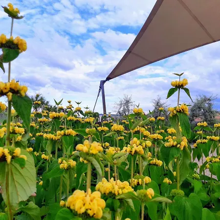 캠프장 Veld & Duin 브레데네