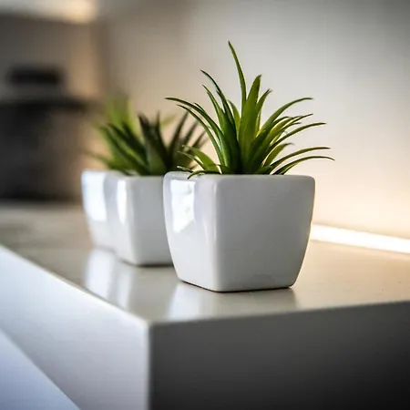 Veld & Duin 캠프장 브레데네